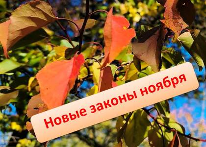 Новое в законодательстве