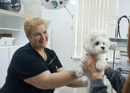 В Севастополе работают две государственные ветклиники