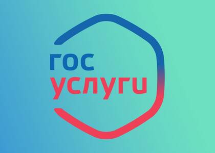 Что больше всего востребовано на портале «Госуслуги»?