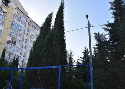 Председатель ЗС В.В. Немцев вернулся из С.-Петербурга и уже работает