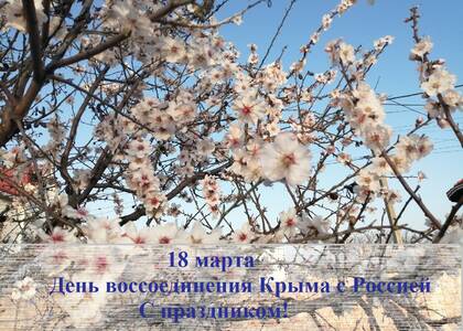 10 лет в родной гавани