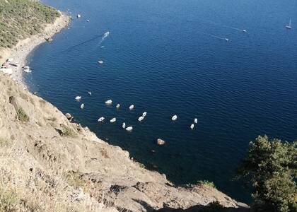 Море и песок очистили от мазута. Рыбу можно есть. Купаться разрешено