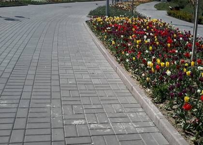 Началось всероссийское онлайн–голосование