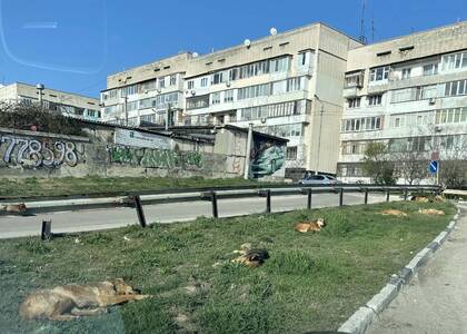 В Гагаринском районе Севастополя 